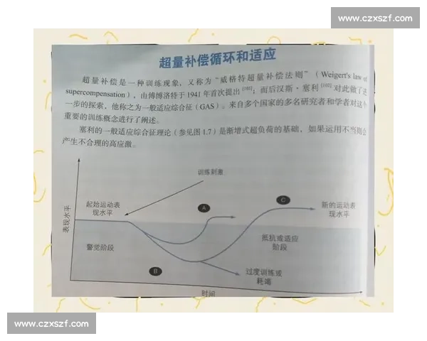 基于体育科学方法提升运动表现与体能训练效果的研究
