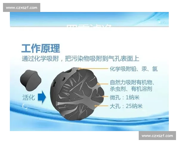 围绕人体身体机能优化与健康提升的系统性科学调控新路径探索研究